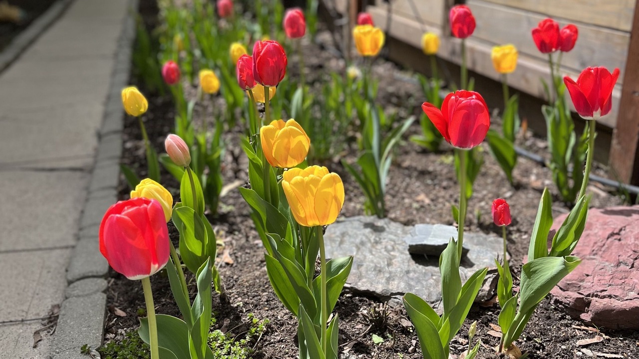 Photo of Outdoor in University District