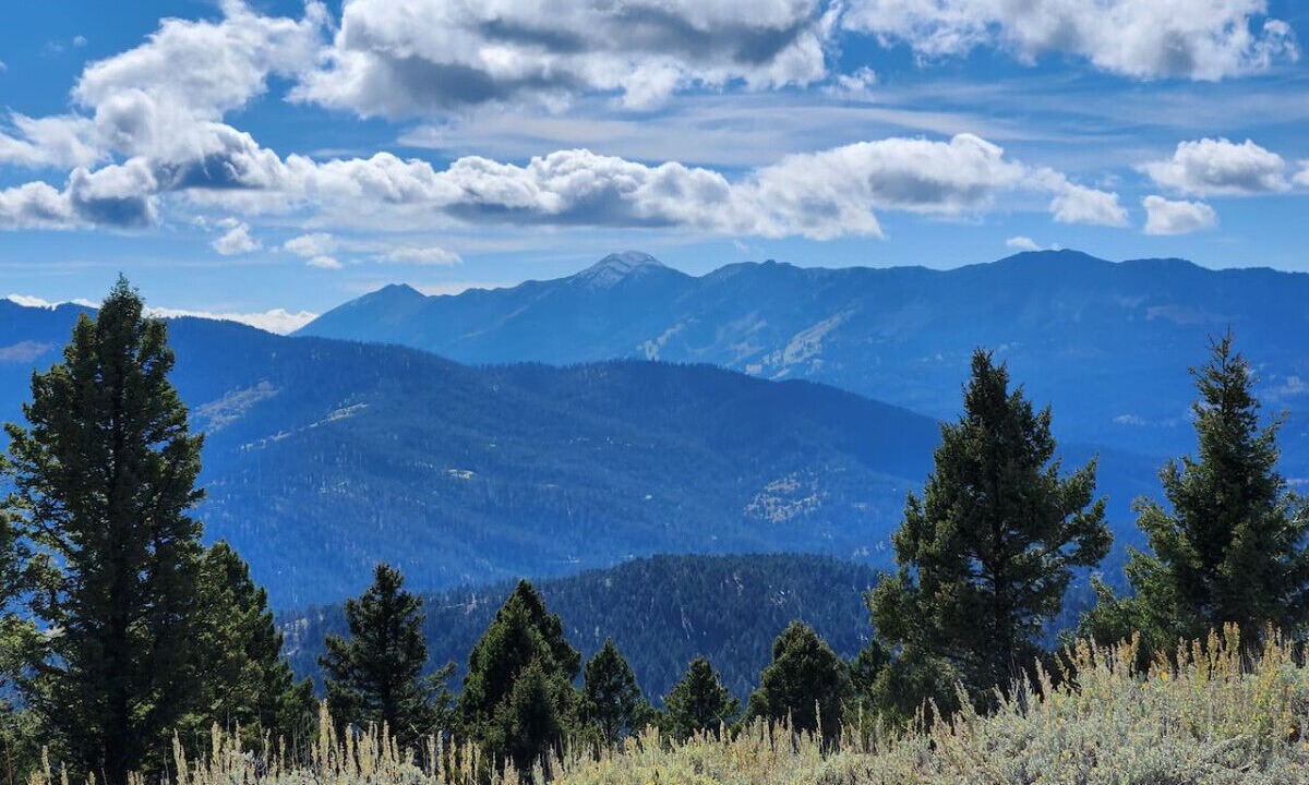 Photo of Others in Bozeman
