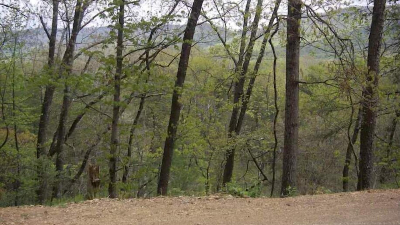 Photo of Outdoor in Weikert