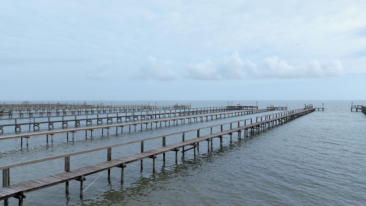Photo of Others in Port Mansfield