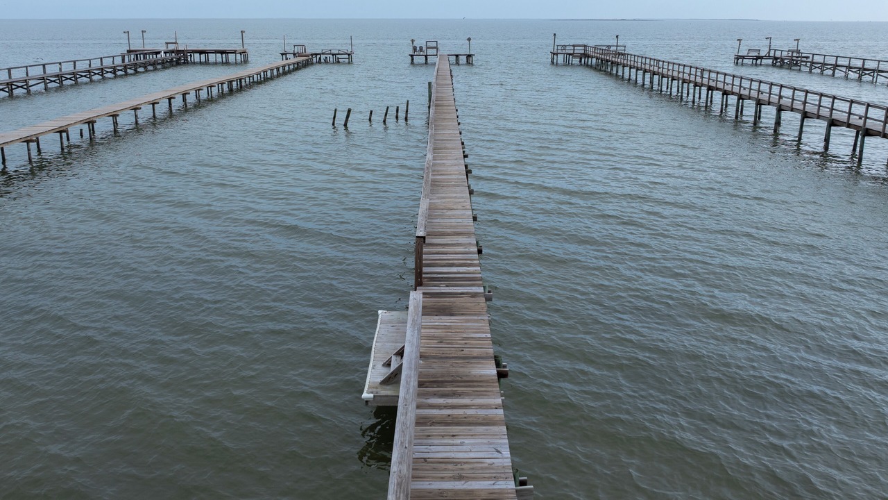 Photo of Others in Port Mansfield