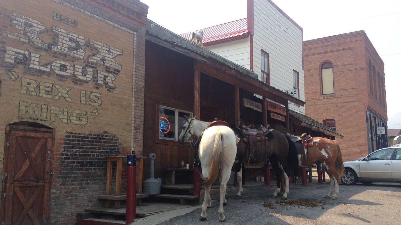 Photo of Others in Pony
