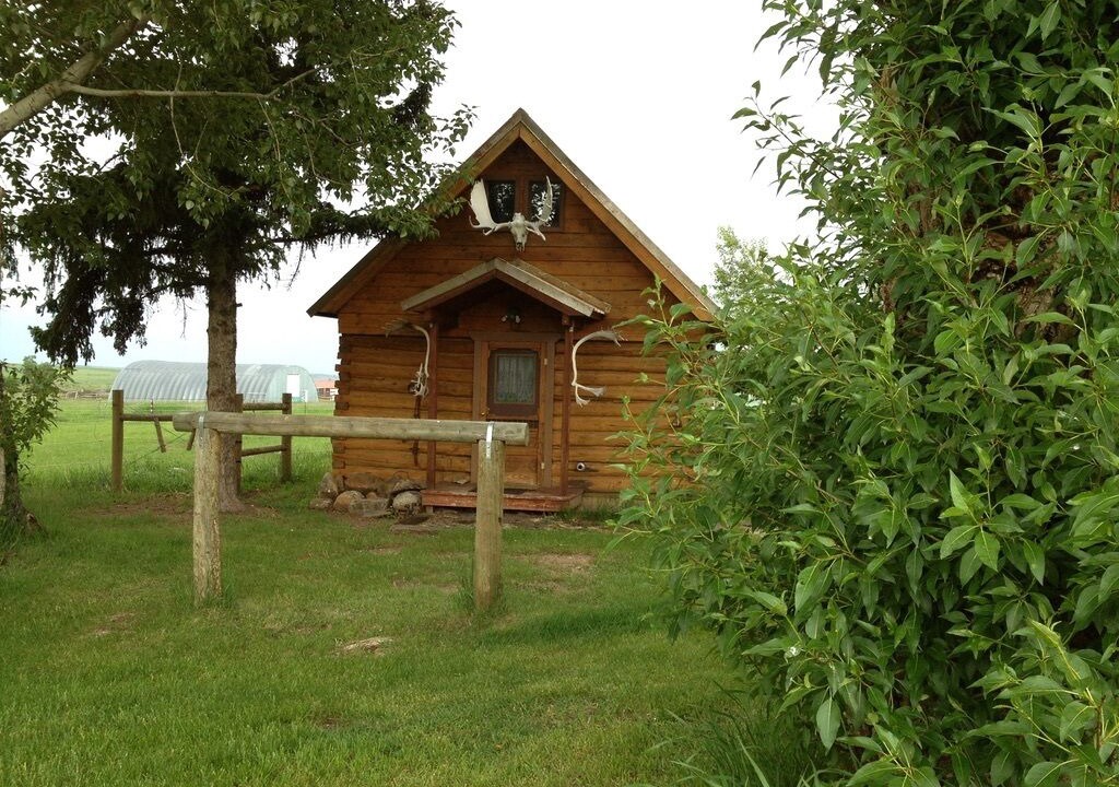 Photo of Outdoor in Pony