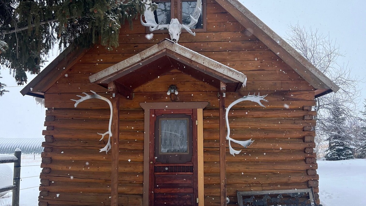 Photo of Outdoor in Pony