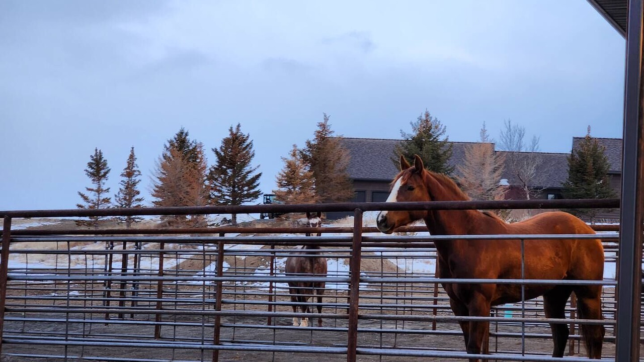 Photo of Outdoor in Cody