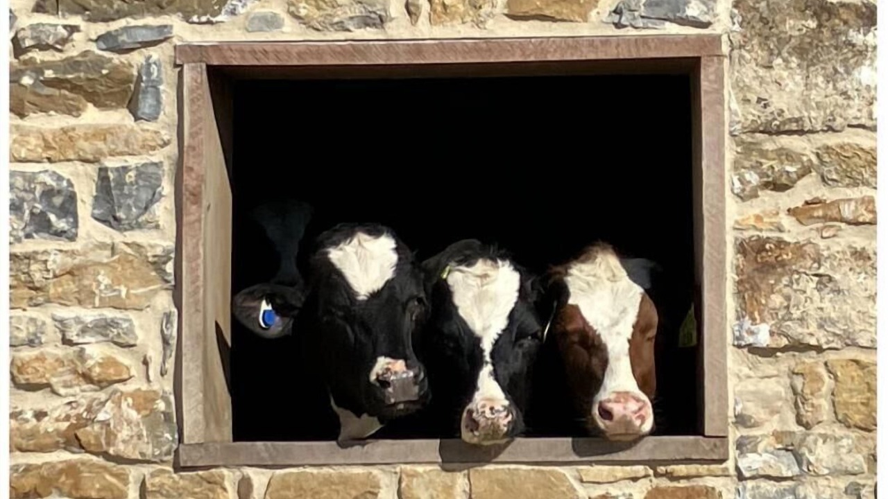Photo of Others in Martindale