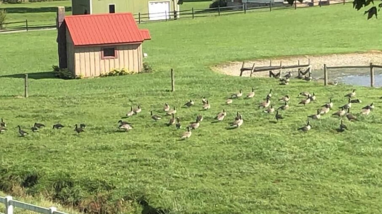 Photo of Outdoor in Martindale