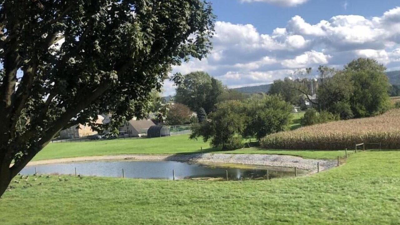Photo of Outdoor in Martindale
