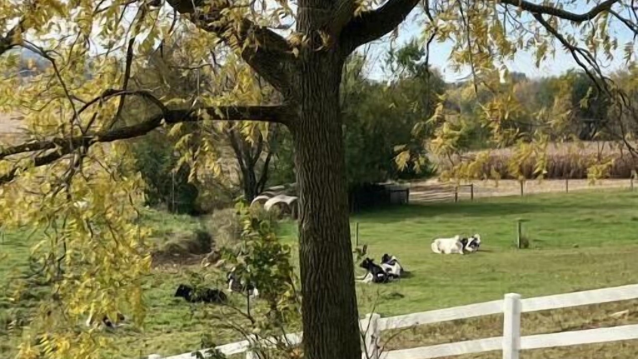 Photo of Outdoor in Martindale