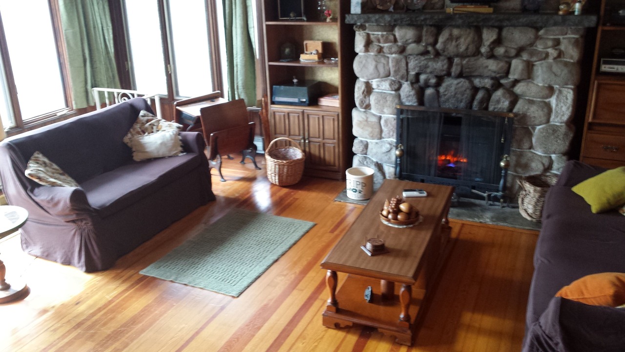 Photo of Livingroom in Harveys Lake
