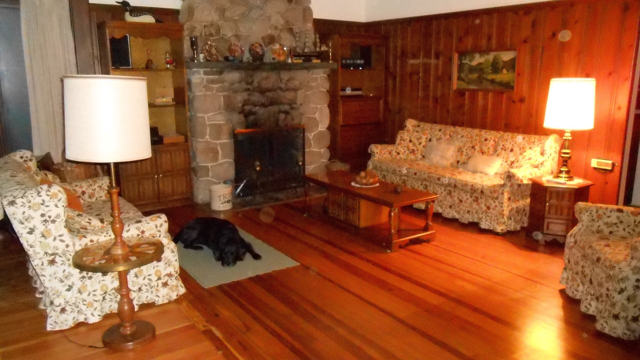 Photo of Livingroom in Harveys Lake