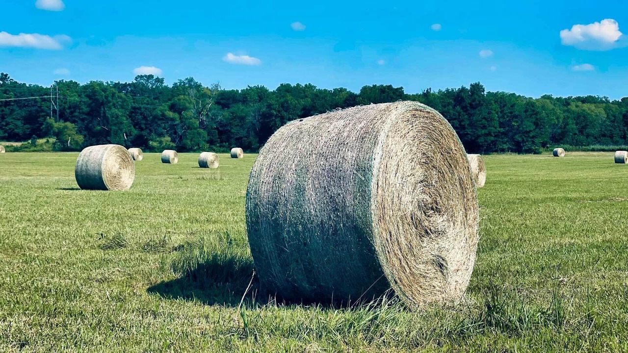 Photo of Others in Dewey