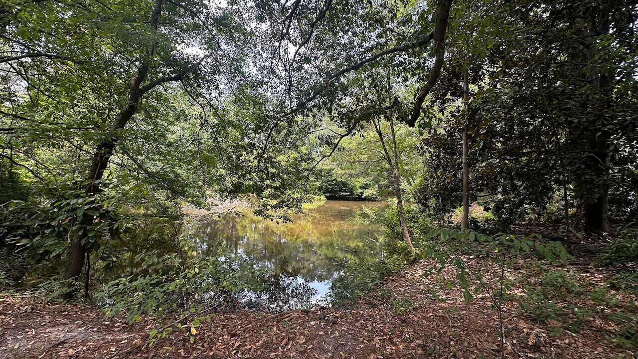 Photo of Others in State Park