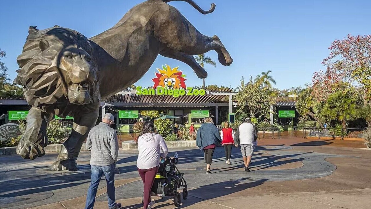 Photo of Others in Downtown San Diego