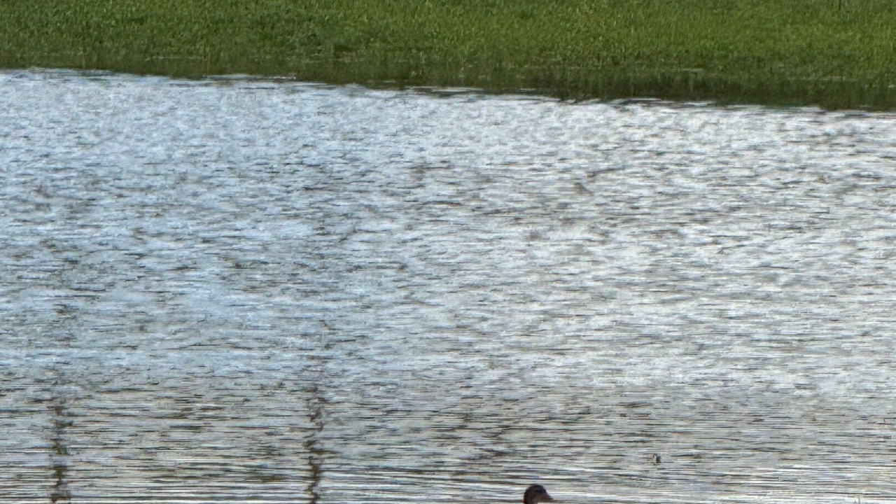 Photo of Others in Ennis