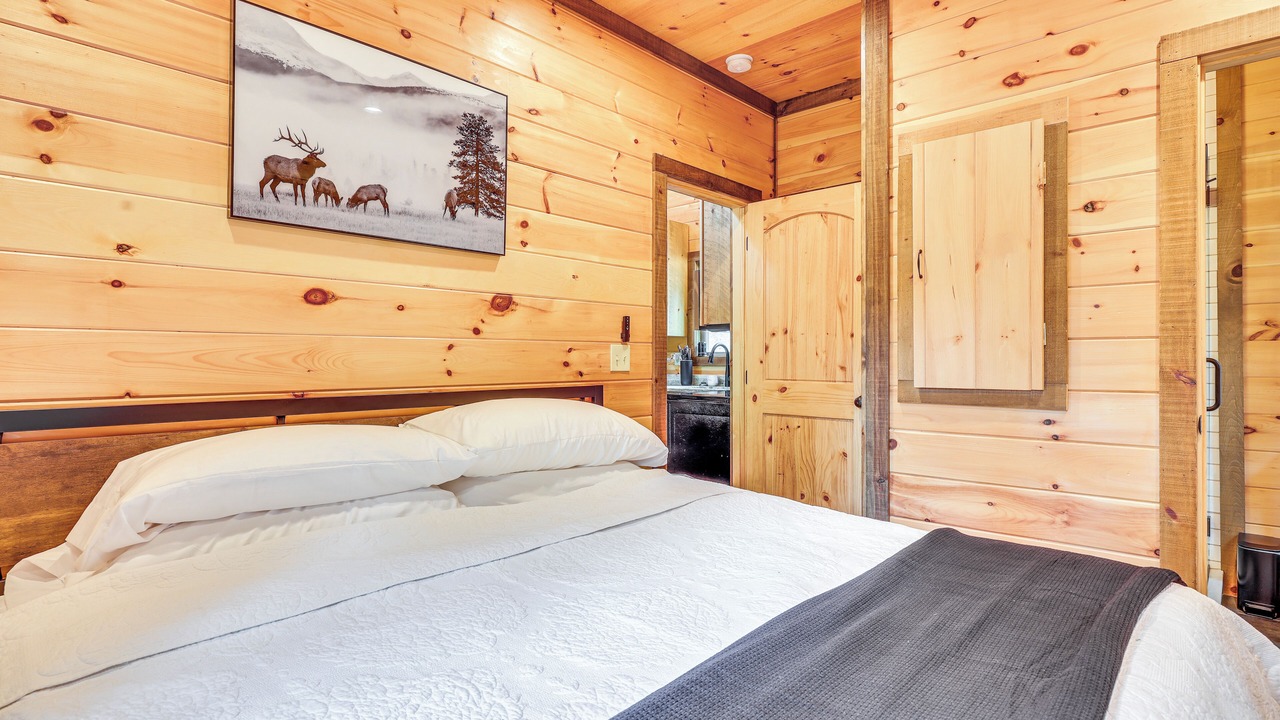 Photo of Bedroom in McCaysville