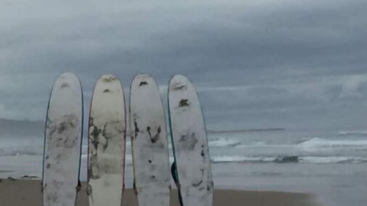 Photo of Others in South Mission Beach