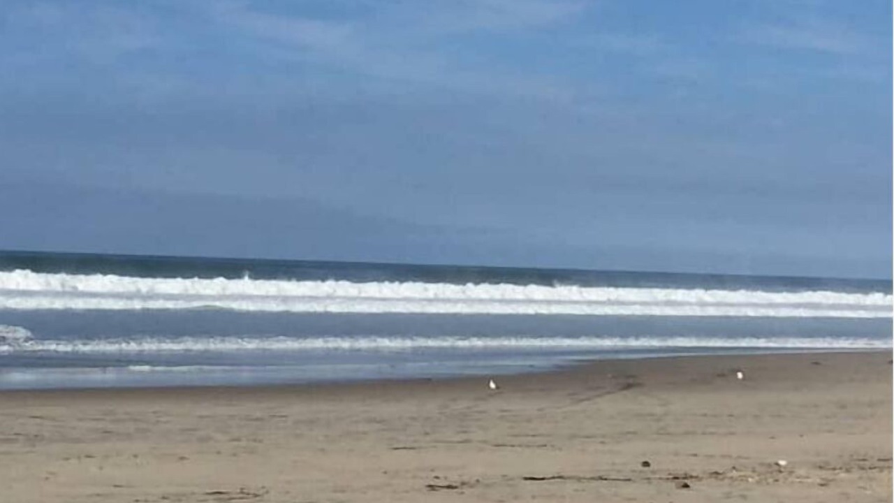 Photo of Others in South Mission Beach