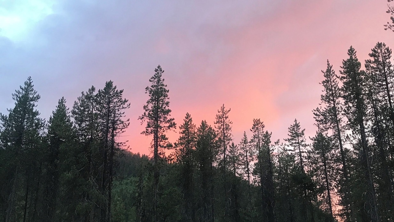 Photo of Others in Missoula County