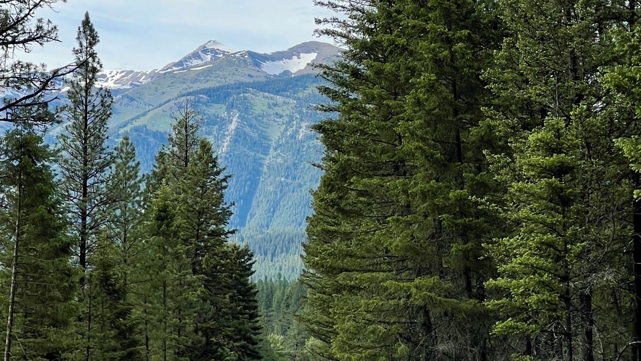 Photo of Others in Missoula County