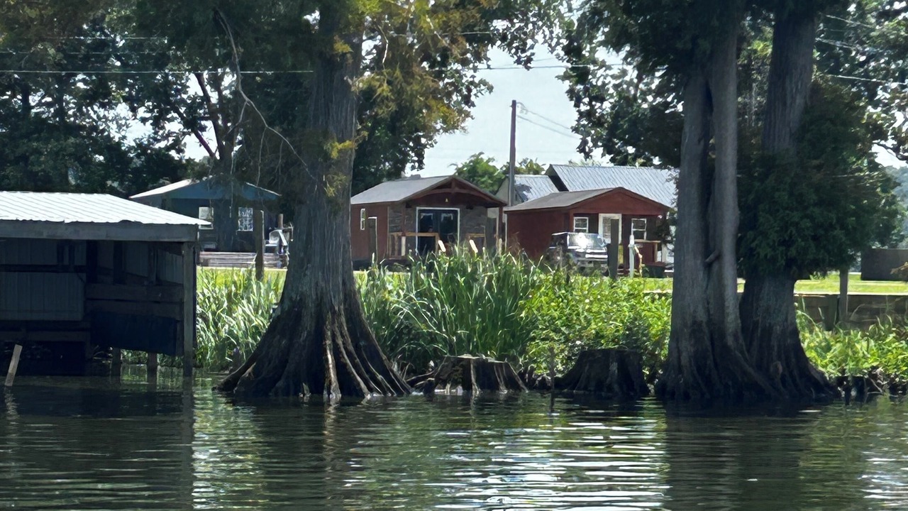 Photo of Others in Hornbeak