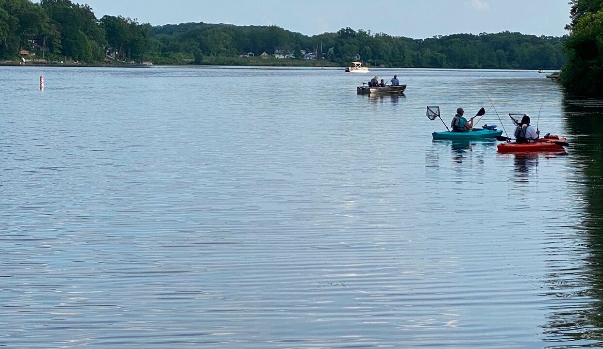 Photo of Others in Portage Lakes