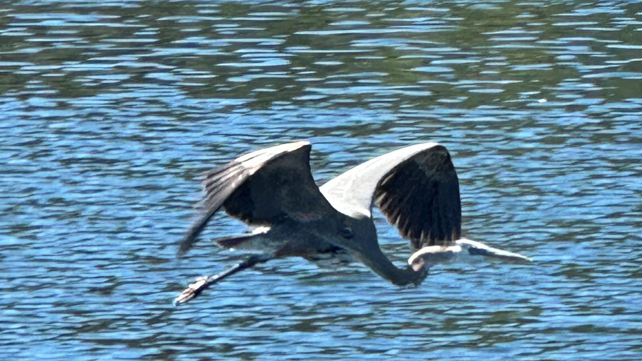 Photo of Others in Twin Lakes