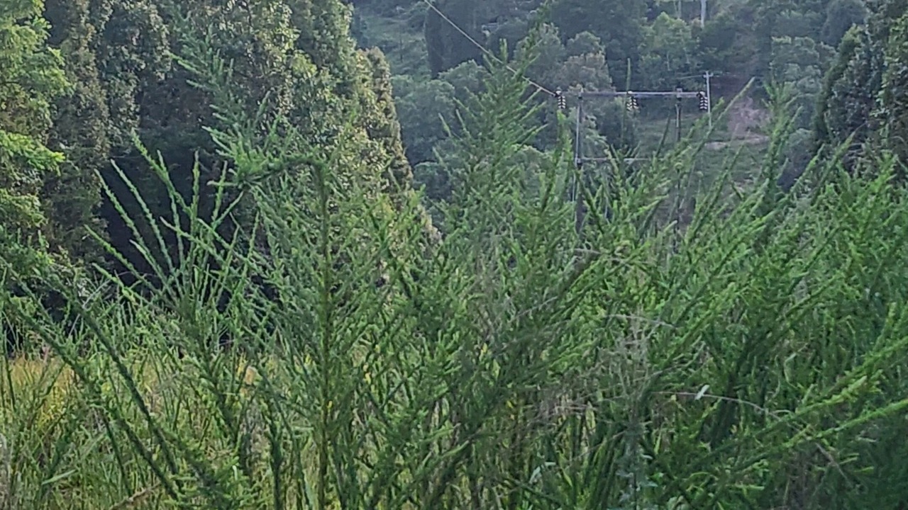Photo of Others in Marble Falls