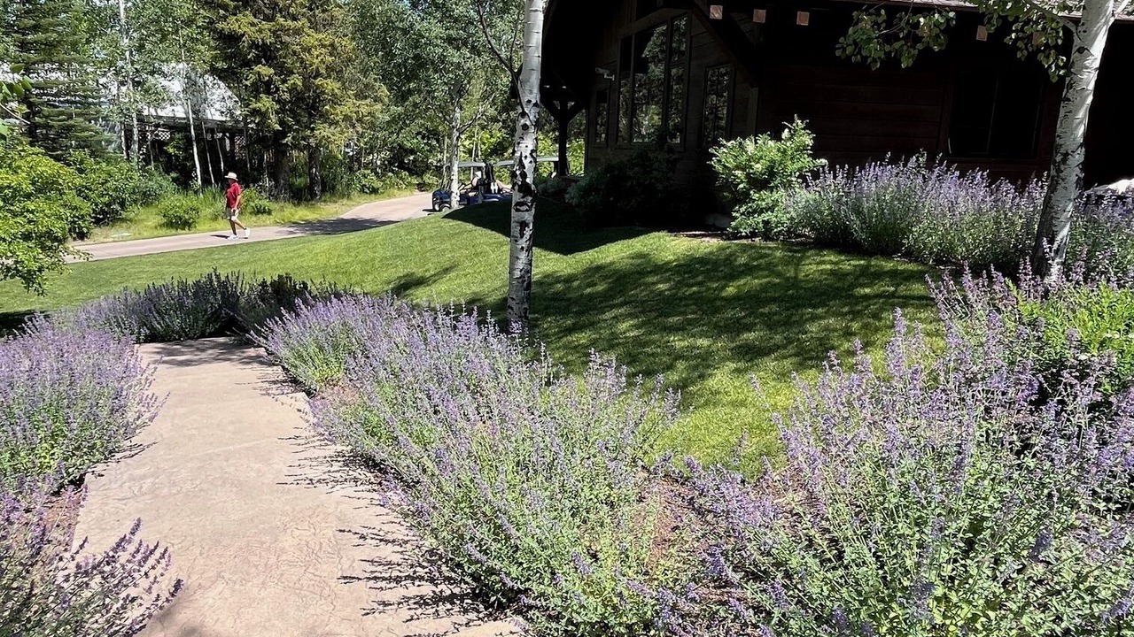 Photo of Outdoor in Jackson Hole