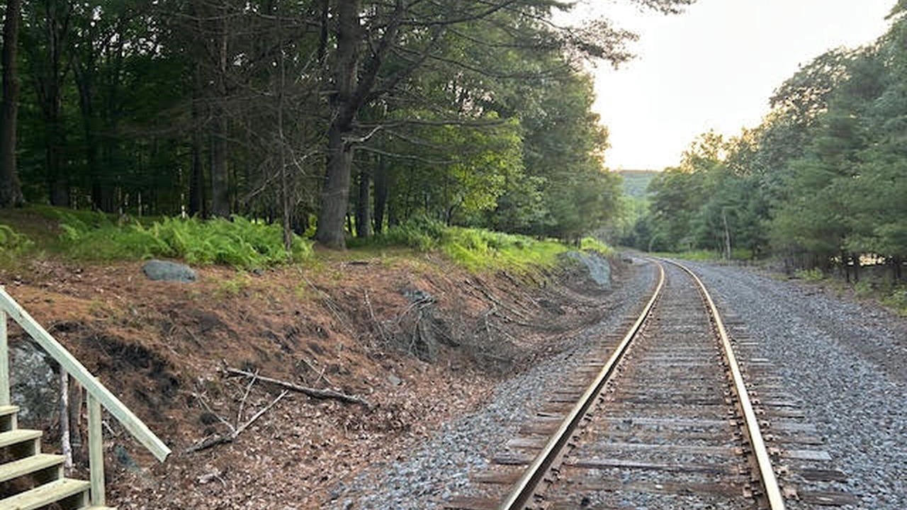 Photo of Others in Lackawaxen