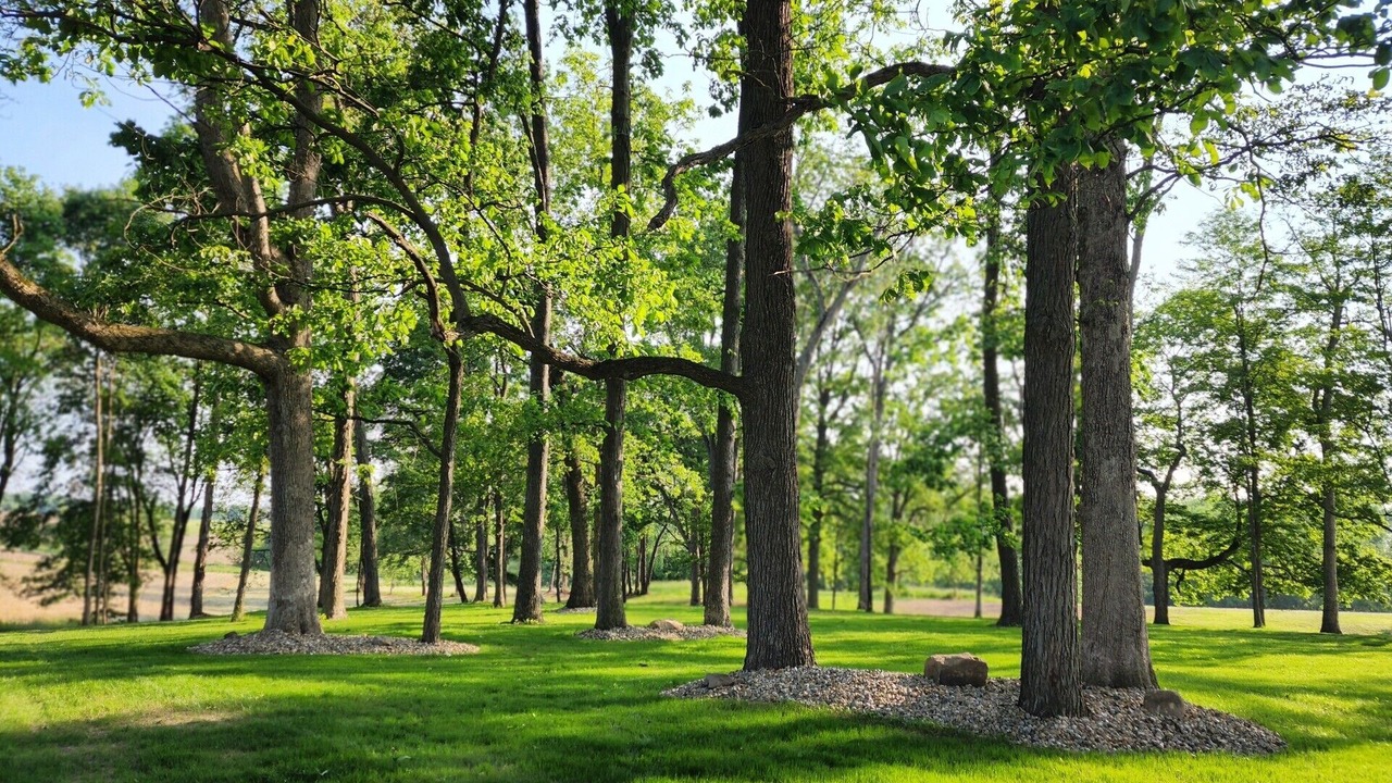 Photo of Others in Mount Vernon