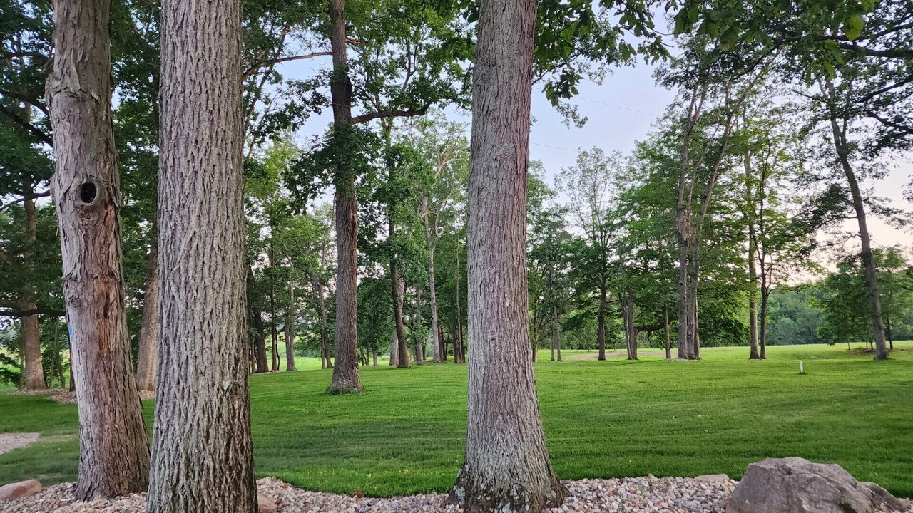 Photo of Outdoor in Mount Vernon