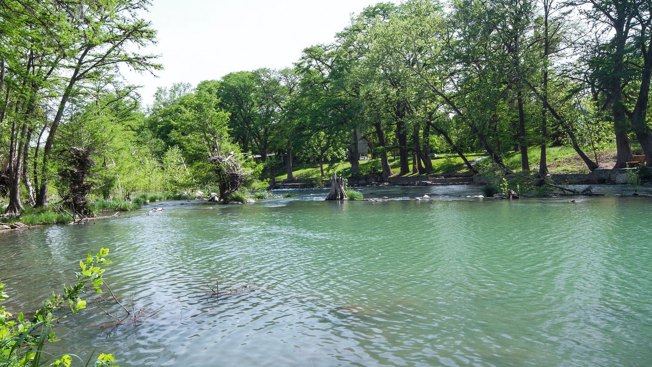 Photo of Others in Gruene