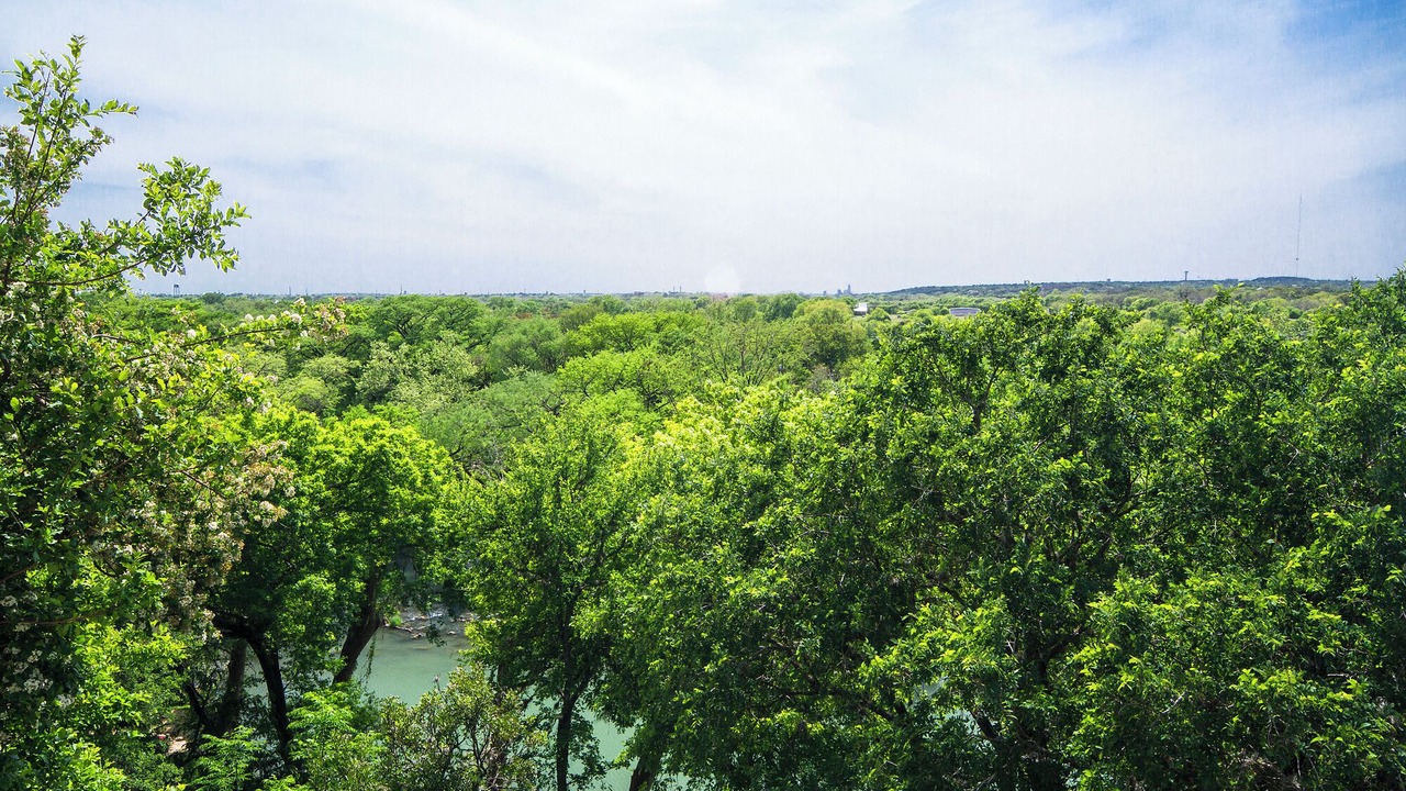 Photo of Others in Gruene