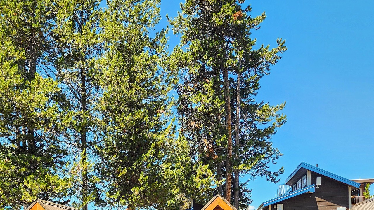 Photo of Outdoor in Island Park