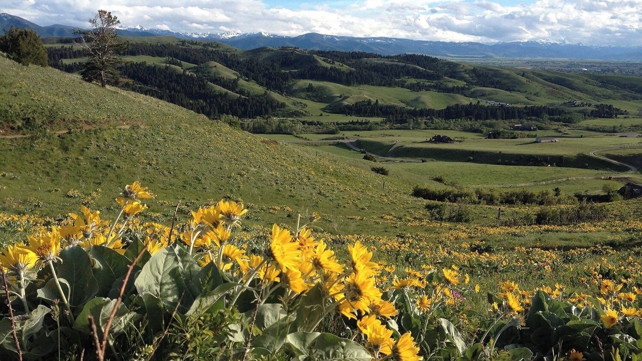 Photo of Others in Bozeman