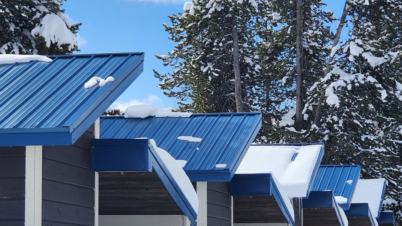 Photo of Outdoor in Island Park