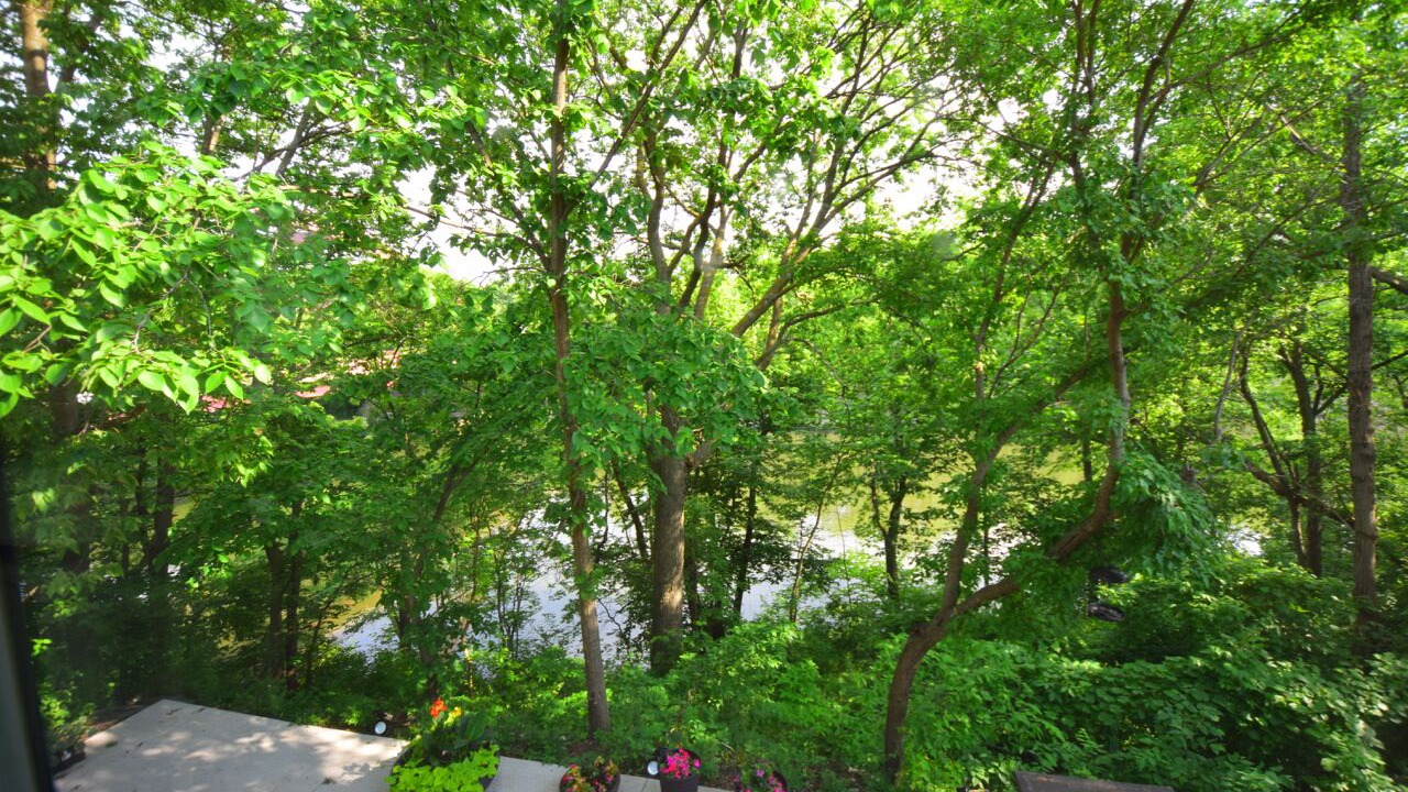 Photo of Others in Iowa Falls