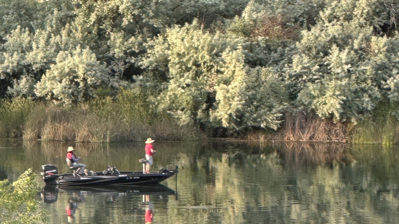 Photo of Others in Marsing