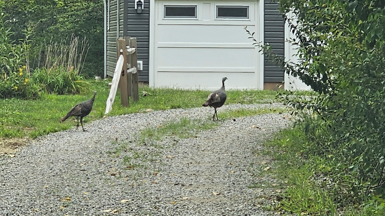 Photo of Outdoor in Irwin