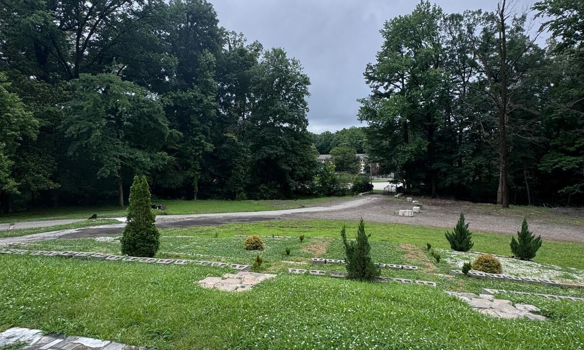 Photo of Outdoor in Raleigh