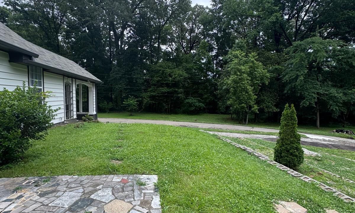 Photo of Outdoor in Raleigh