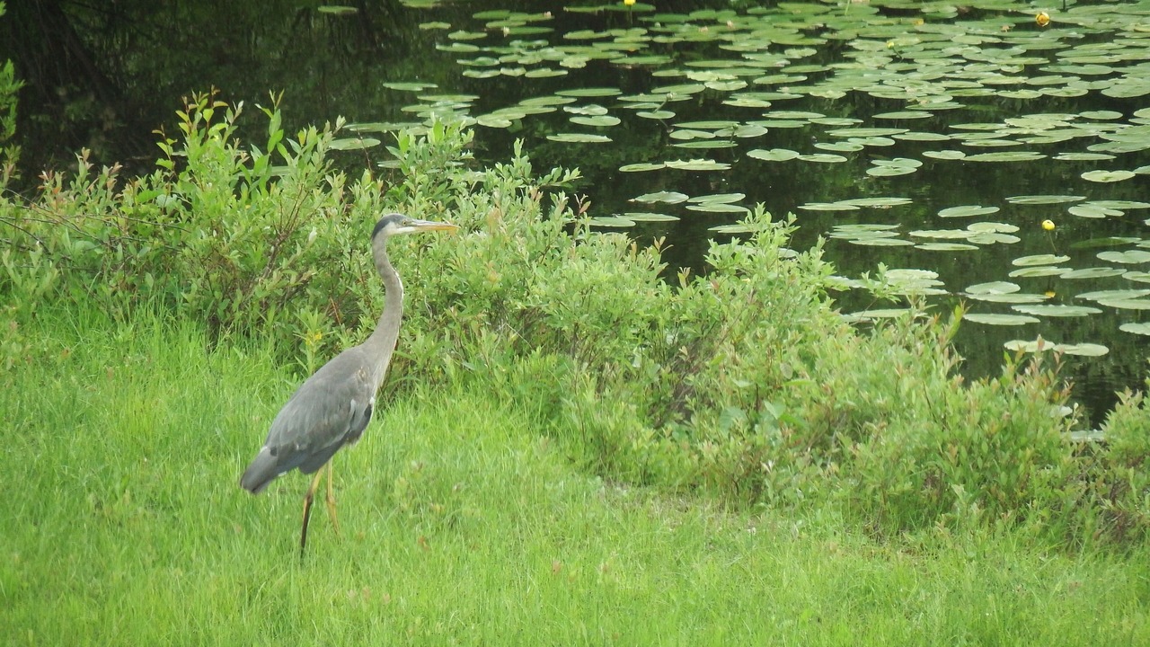 Photo of Others in Coram
