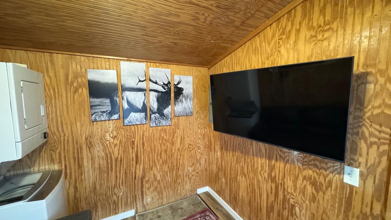 Photo of Livingroom in Belfield