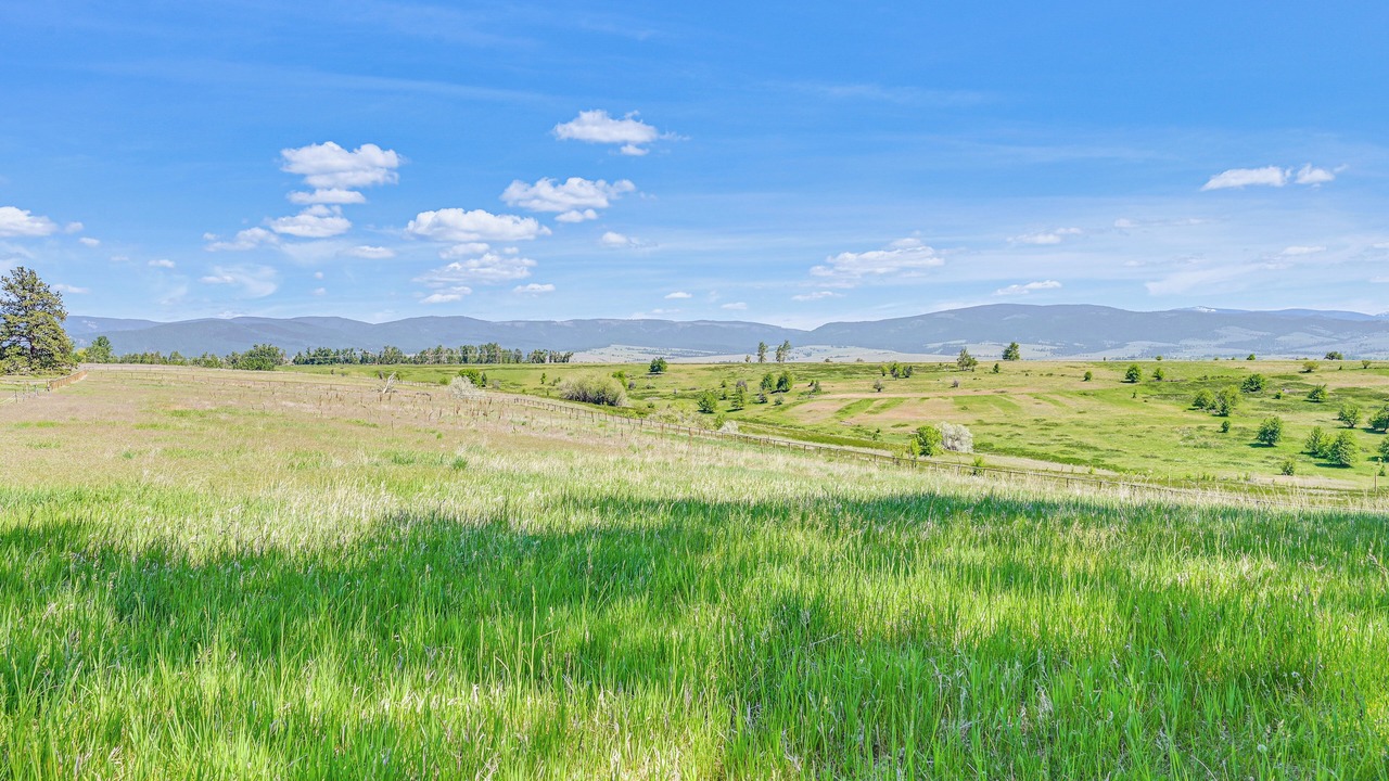 Photo of Outdoor in Stevensville