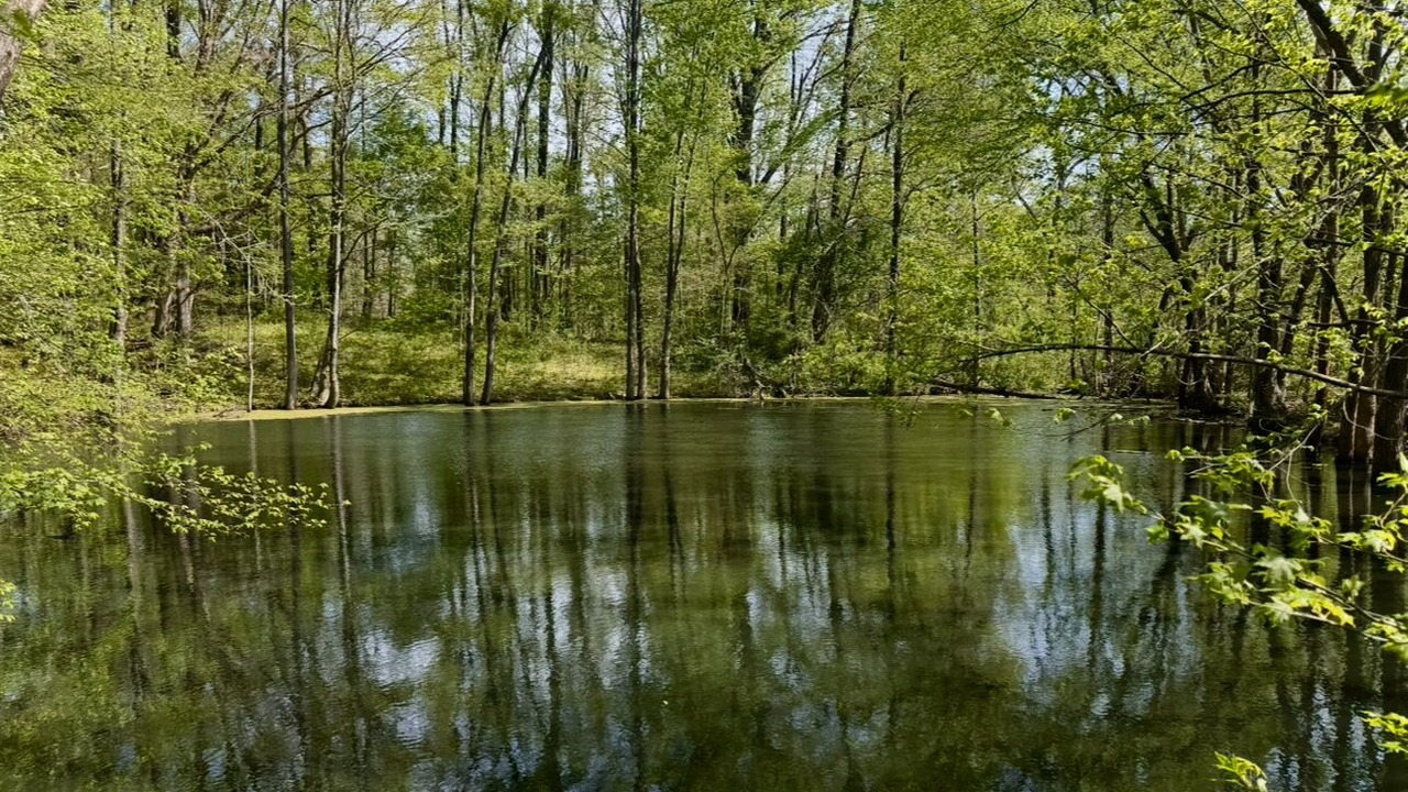 Photo of Others in Millington