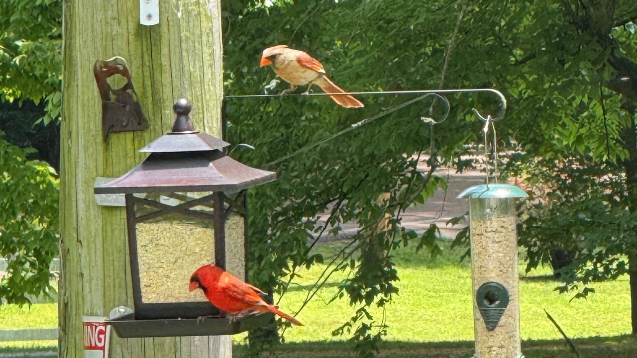 Photo of Others in Millington