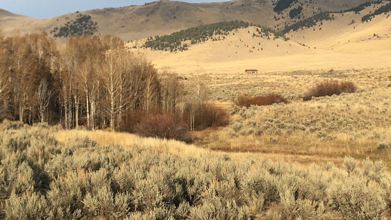 Photo of Others in Silver Star