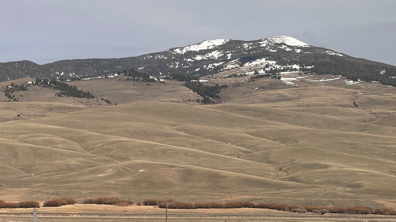Photo of Others in Divide