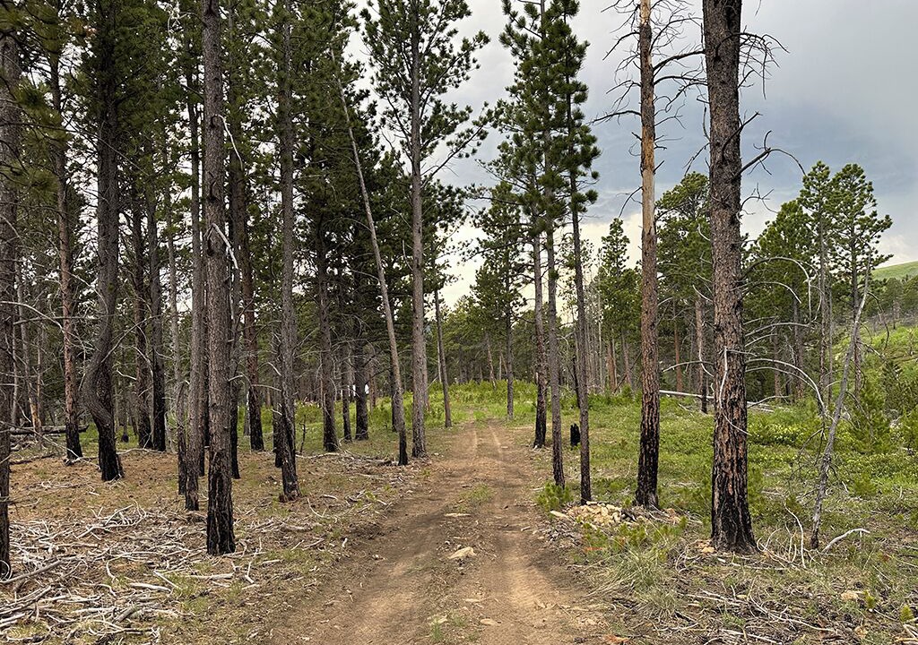 Photo of Others in Casper